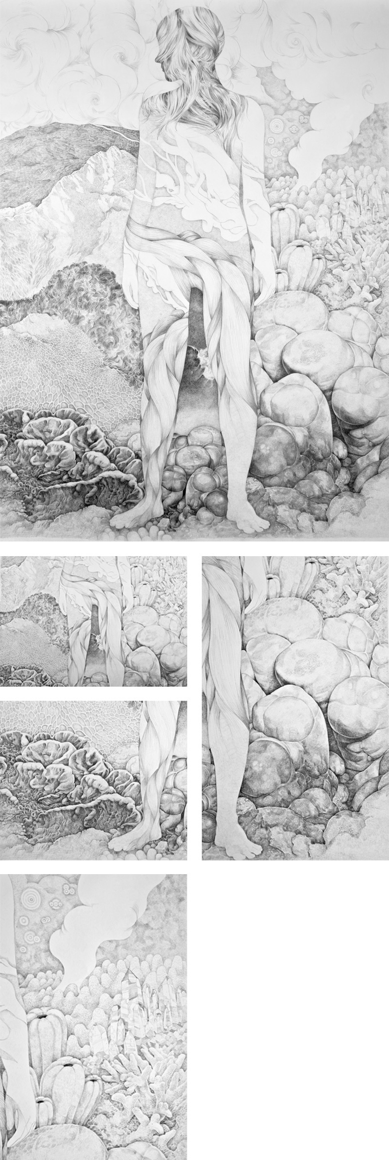abiogenesi, Sara Welponer big pencil drawing, surreal anatomy, innerspace