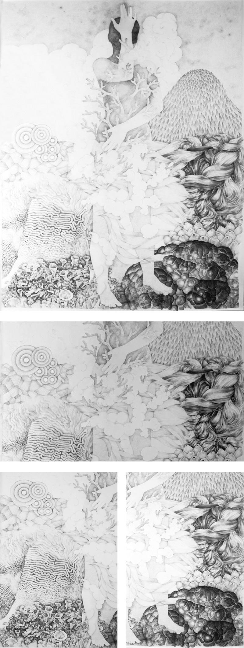 abiogenesi 2, Sara Welponer big pencil drawing, surreal anatomy, innerspace