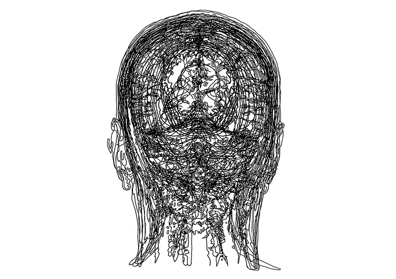 testa, Sara Welponer head drawing, CT scan drawing