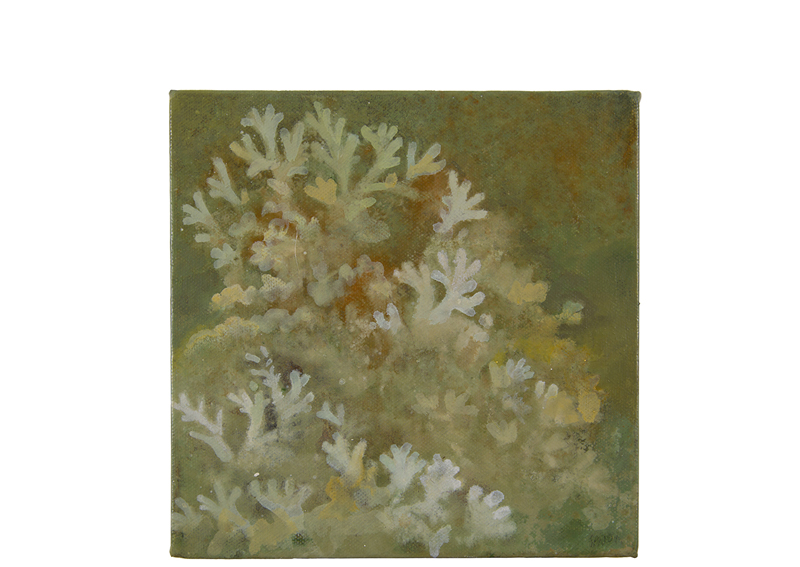 lichene, Sara Welponer oil painting, lichen painting, moss painting