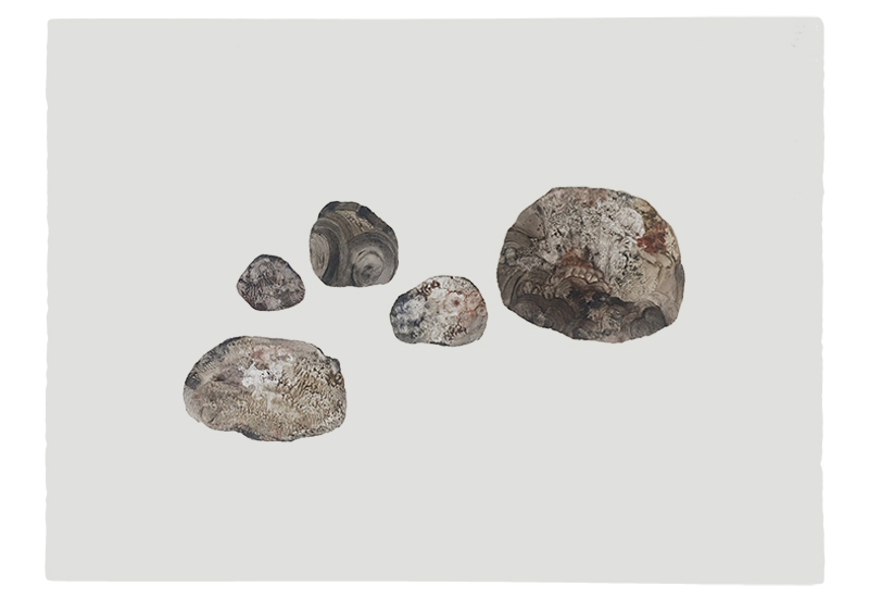 pietre, Sara Welponer oil painting on paper, stones, rocks
