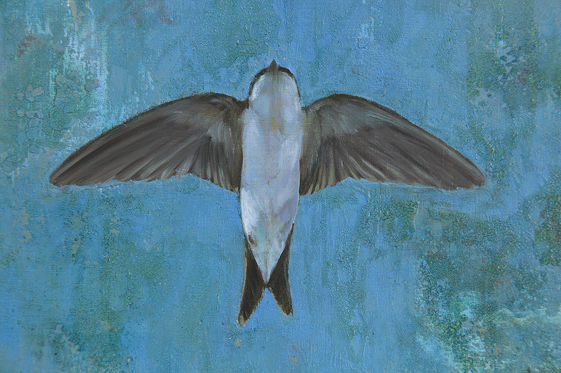 detail, Sara Welponer oil painting on wood, swallow, craquelé, craquelure, mustererkennung
