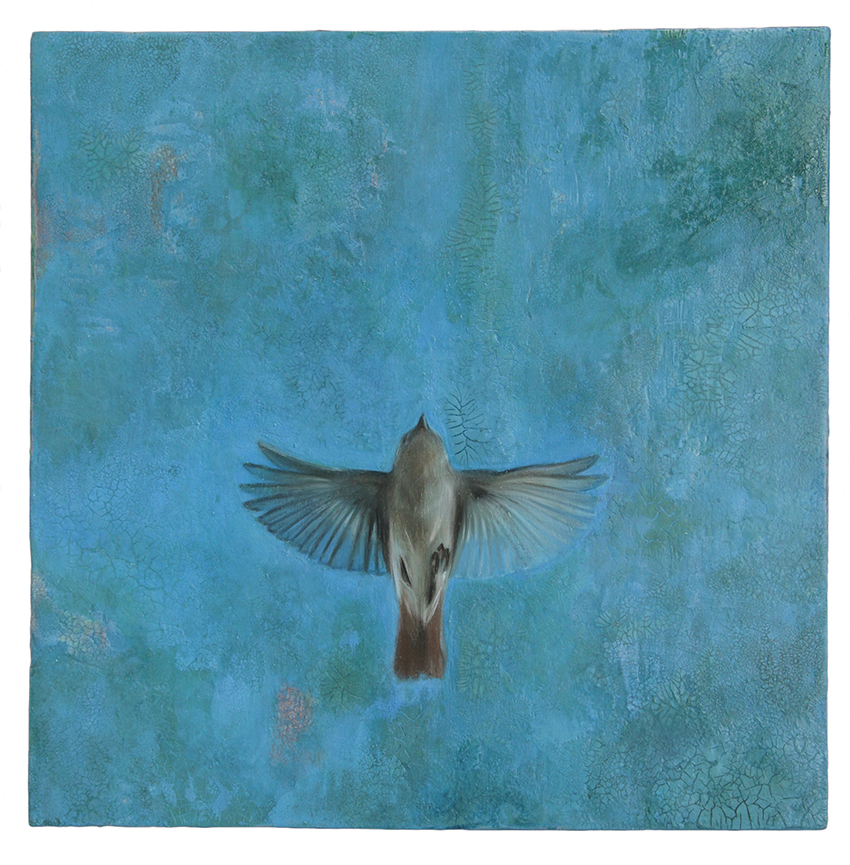 oil painting on wood, redstart, craquelé, craquelure, mustererkennung