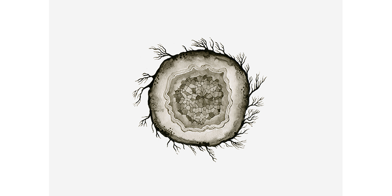 watercolor with natural pigments, cell