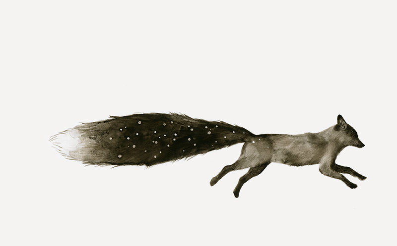 watercolor with natural pigments, watercolour fox 