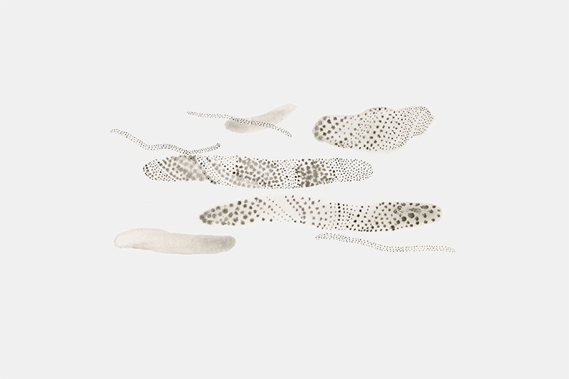 watercolor with natural pigments